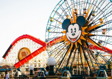 how much money does disneyland make a day